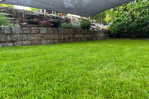 FHG am Hörnli, Grüne Rasenfläche mit einer Steinmauer im Hintergrund, darüber ein Sonnensegel gespannt.