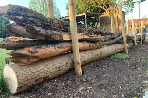 FHG am Hörnli, Gestapelte Baumstämme und Äste auf einem Boden aus Erde, umgeben von Bäumen und einem Gebäude im Hintergrund.